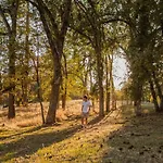 Lovers Nest By Casa Oso With Private Hiking Trails And Pond