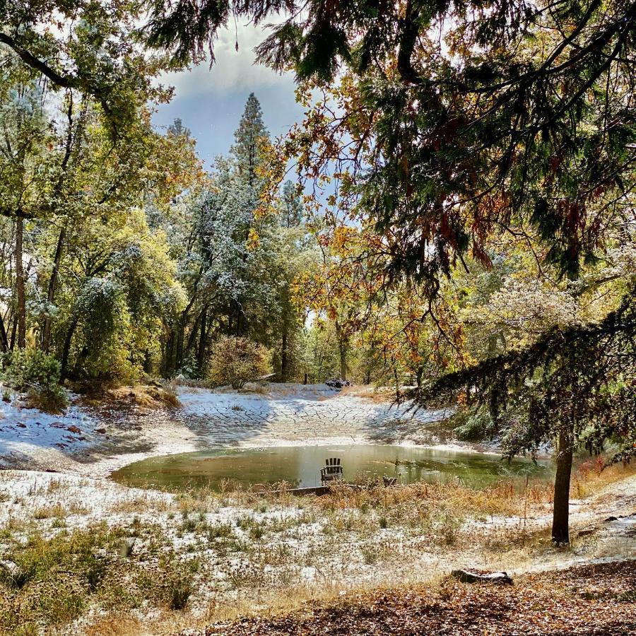 Lovers Nest By Casa Oso With Private Hiking Trails And Pond *
